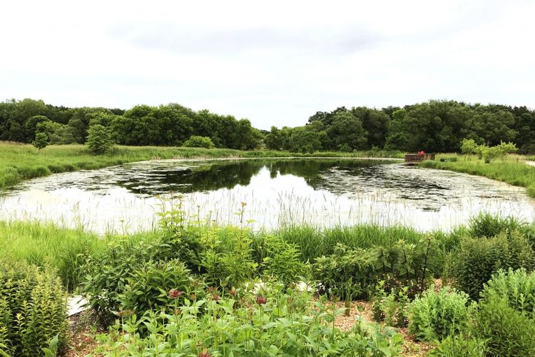 Fitchburg, WI Homes for Sale | Fitchburg Realtors