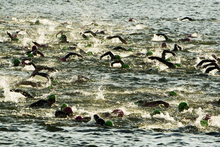 Madison, WI Homes for Sale | Madison Realtors