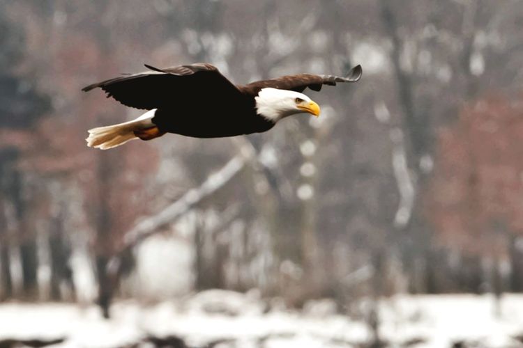 Homes for Sale and Realtors in the Sauk Prairie School District